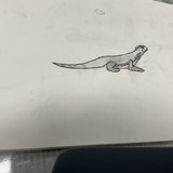 IMG 0023