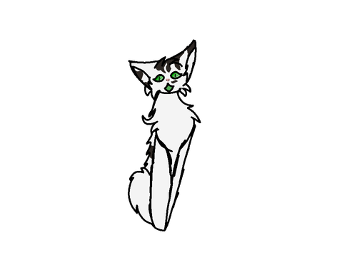 IMG 7405.png