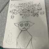 IMG 0028