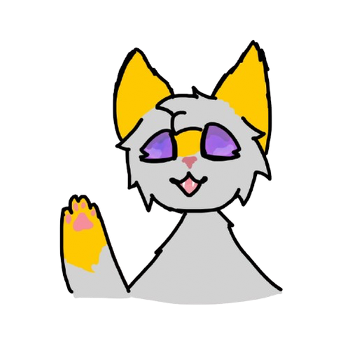 IMG 5162.png