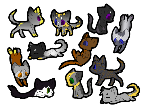 IMG 6021.png