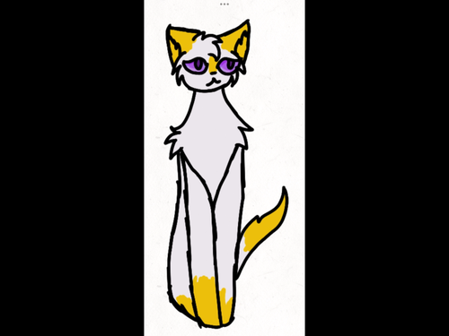 IMG 5403.png