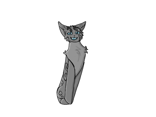 IMG 7552.png