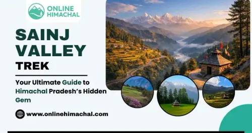 Sainj Valley Trek Your Ultimate GuideHimachal Pradeshs Hidden Gem.webp