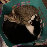 IMG 0467