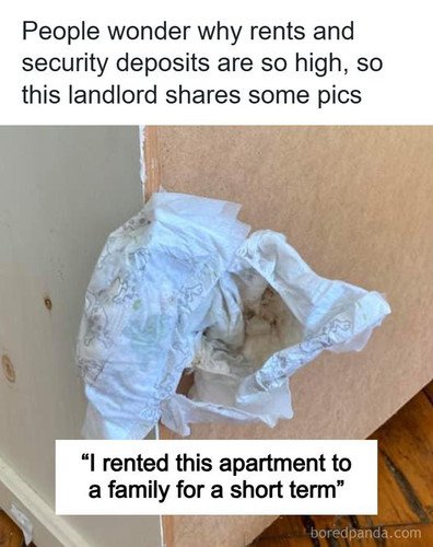 landlord.jpg