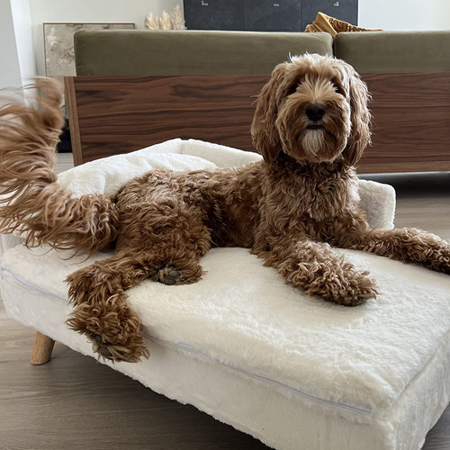 pet sofa bed ELEVATEDP XM116BED (4).jpg