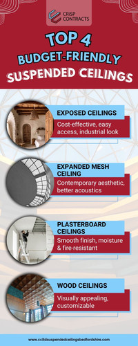 Top 4 Budget‑Friendly Suspended Ceilings.jpg