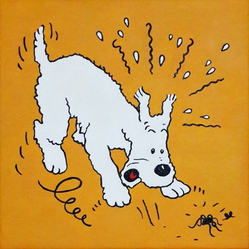 tintin123456.jpg
