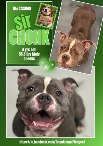 G J42LhbkAAcVJe?format=png.png