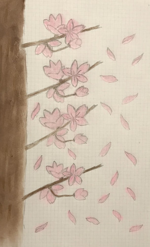 Cherry Blossom.jpg