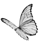 奇迹素材 (90).png