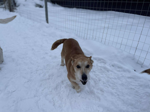 G m6zh3bwAAQxfn?format=jpg.jpg