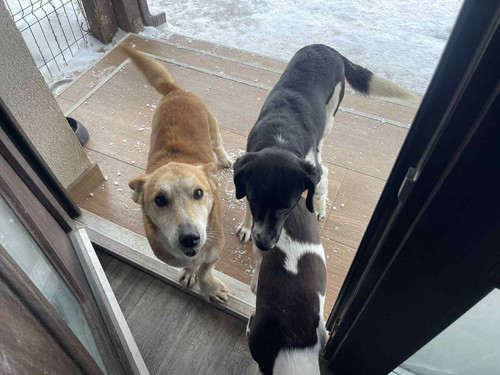 G m6zh2bQAENLAL?format=jpg.jpg