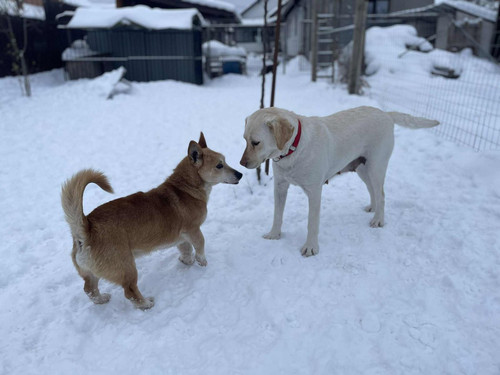 G m6zhwbQAYoMmf?format=jpg.jpg