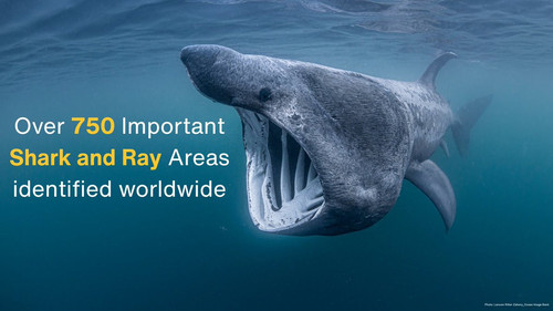 G m IhnWsAAtQPd?format=jpg.jpg