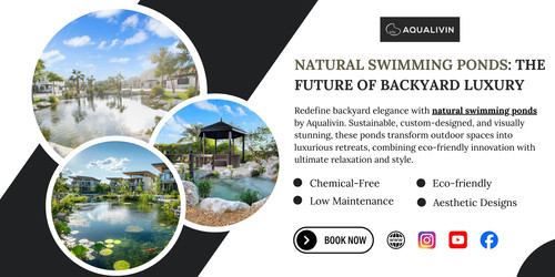 Natural Swimming Ponds: The Future of Backyard Luxury.jpg