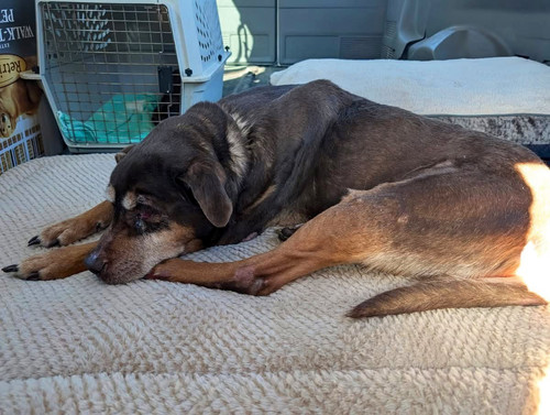 G fgyrKW4AAuLFk?format=jpg.jpg