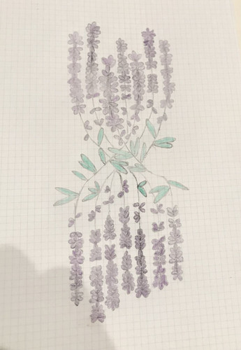 Lavender.jpg