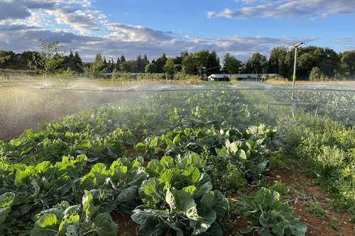 G jiu VXAAEZXdN?format=jpg.jpg