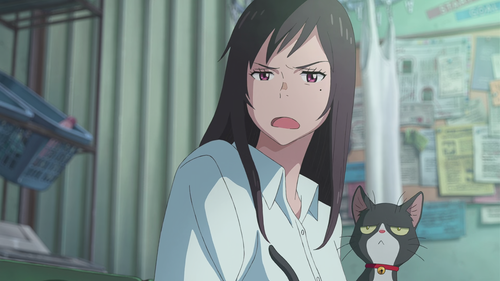 vlcsnap 2026 01 13 16h10m12s544.png
