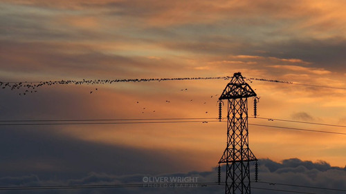 Gr1vX6R2VTTiq 5Z.jpg