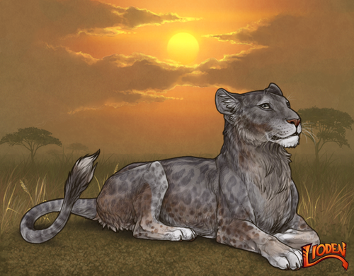 lion 794256822913 (1).png