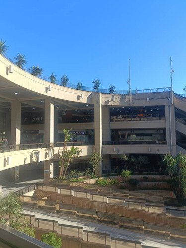 Alger1.jpg