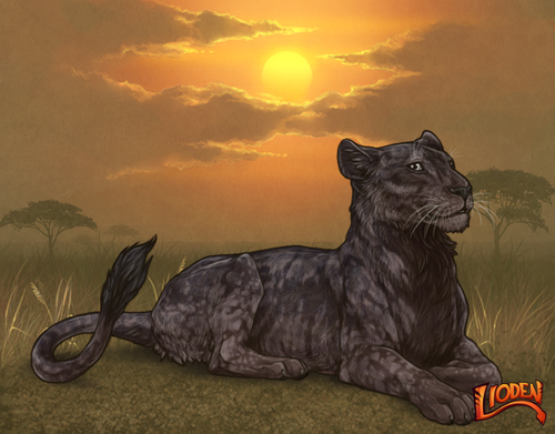 lion 794257148946 (1).png