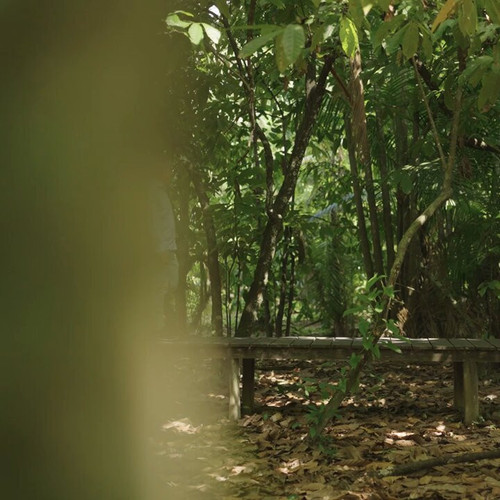 y9oib6rG1SPyIwhm.jpg