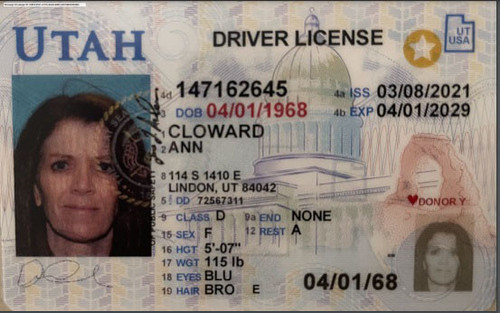 Ann Cloward license image.jpg