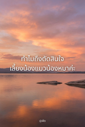 1e68d2b2a596.jpg
