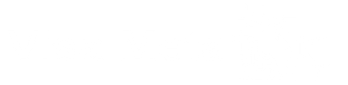visa meta logo.png