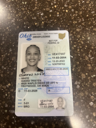 Gianni Tristen White license image.jpg