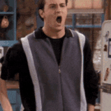 Chandler I knew it.gif