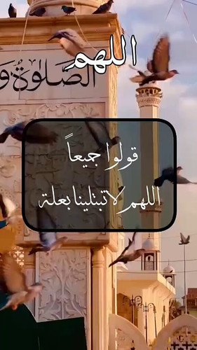 YTw MmrHwjo8UW2w.jpg