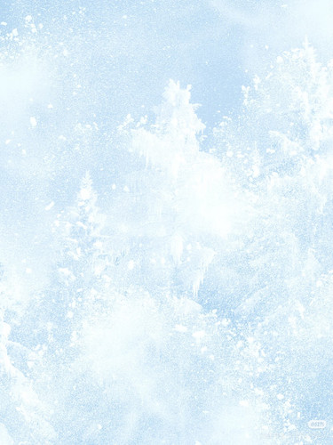 Camera 1040g3k831mh46go2mgcg5q4kfd3q575r310qin0.jpg