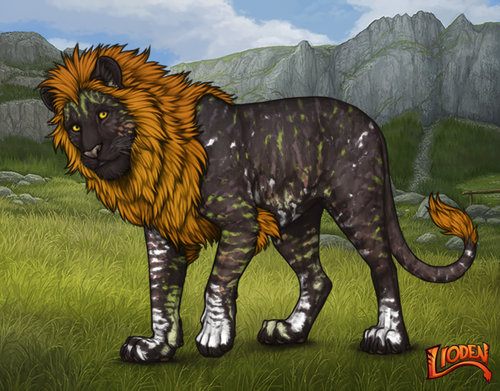 lioden wardrobe 2026 01 14T095019.332.png