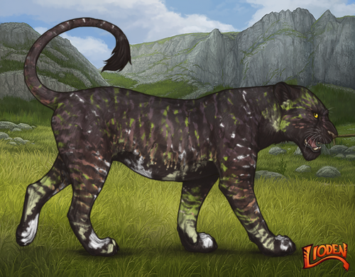 lioden wardrobe 2026 01 14T095045.920.png