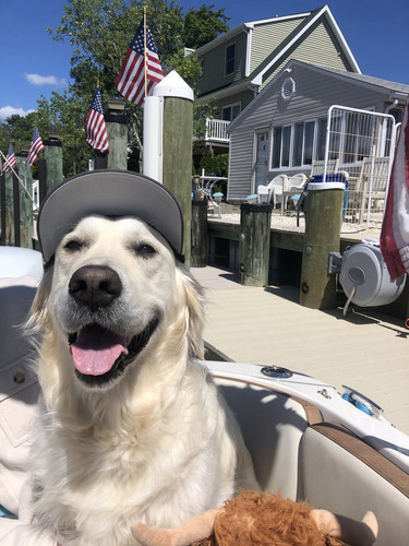 G n9 9OaEAAjf9J?format=jpg.jpg