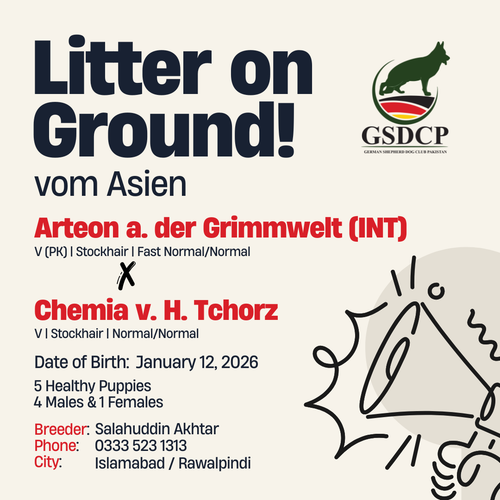 uc?export=download&id=1b5Dvi4z5A g3jn7ezzVljInXdwyyFKJ0.png