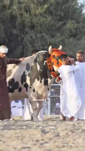 VGPTKMbB5O NDUhM.jpg