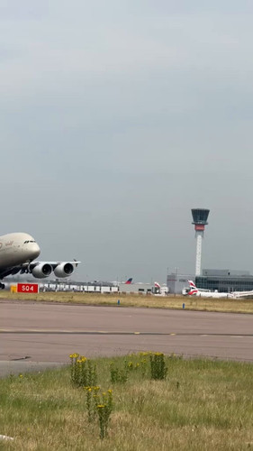 Ctf1t1hW8K2eX313.jpg