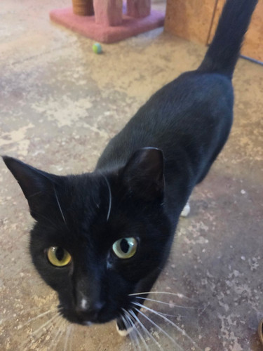 G l6VlqbQAEM5nS?format=jpg.jpg