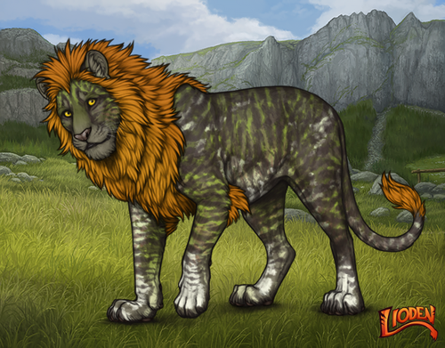 lioden wardrobe 2026 01 14T094951.542.png