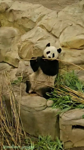 hDcN7pHH3z M0p2O.jpg