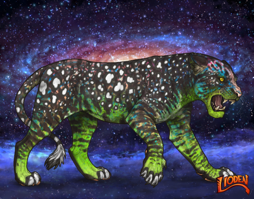 lioden wardrobe 2026 01 14T113232.143.png