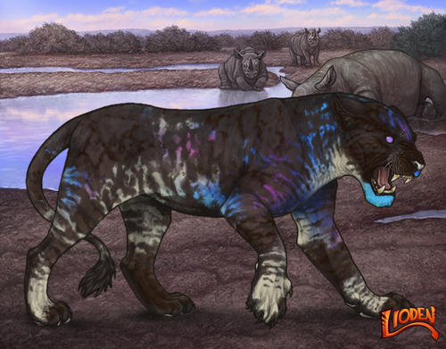 lioden wardrobe 2026 01 14T113859.756.png