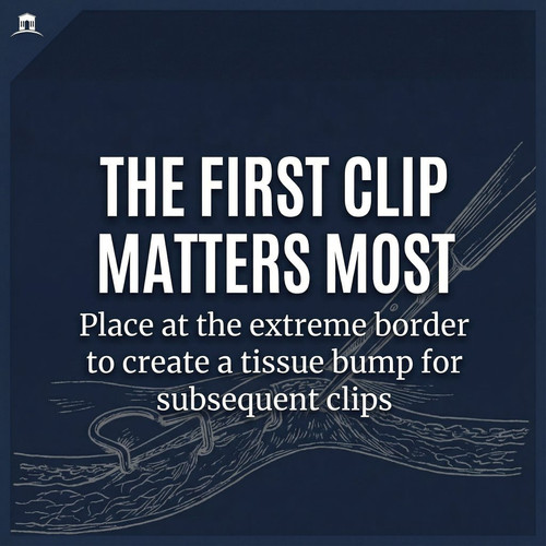 G pCxJkbQAQQCRR?format=jpg.jpg