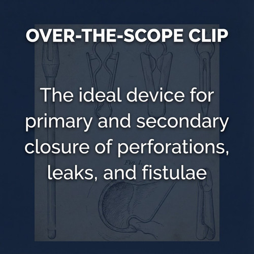 G pCTbhXYAAwUYF?format=jpg.jpg